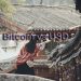 aimagery2 copy bitcoin vs usd