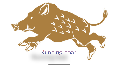 Different levels of forex traders, running boar