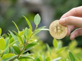 blockchain bad for environment