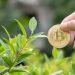 Blockchain electrik consumtion blockchain bad for environment